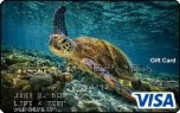 Sea Turtle Visa Gift Card