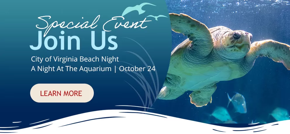 A Night at the Aquarium Appreciation Event Click for registrations